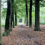 Panorama Near Efteling - With Garden And Swimmingpool Europarcs Ferienhaus Kaatsheuvel