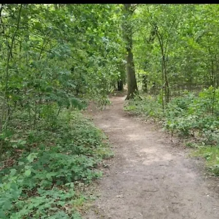 Panorama Near Efteling - With Garden And Swimmingpool Europarcs Kaatsheuvel