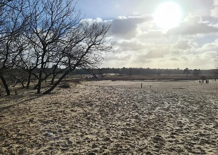 別荘 Panorama Near Efteling - With Garden And Swimmingpool Europarcs カーツスフーフェル