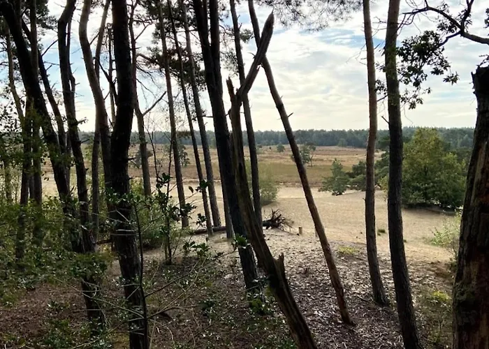 Panorama Near Efteling - With Garden And Swimmingpool Europarcs Tatil Evi Kaatsheuvel