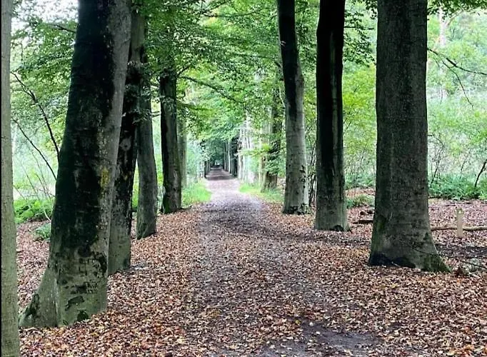Panorama Near Efteling - With Garden And Swimmingpool Europarcs 別荘 カーツスフーフェル