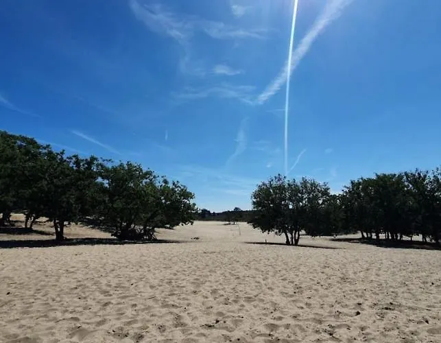 Panorama Near Efteling - With Garden And Swimmingpool Europarcs Kaatsheuvel