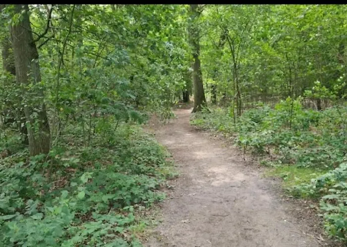 Panorama Near Efteling - With Garden And Swimmingpool Europarcs カーツスフーフェル