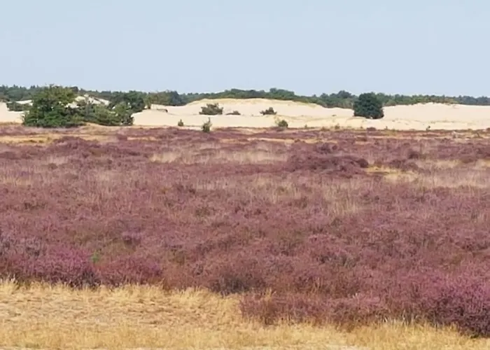 Panorama Near Efteling - With Garden And Swimmingpool Europarcs Hébergement de vacances Kaatsheuvel
